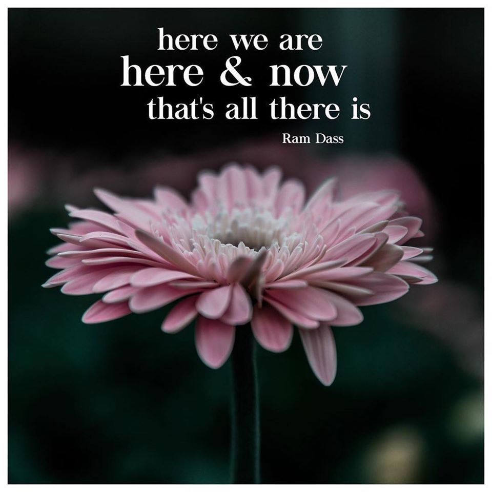 Here we are here & now that's all there is. - Ram Dass