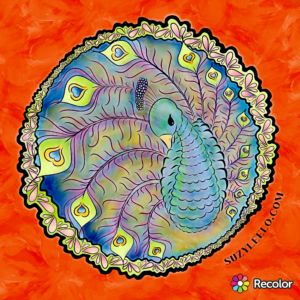 printable coloring page animal - Peacock