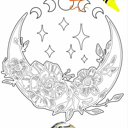 Moon Phases & Flowers