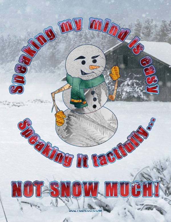 Snowman Smirk - Speaking Tactfully - Image 2