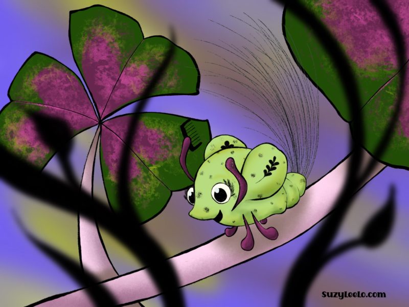Dennis the Planthopper sitting on a Shamrock Plant